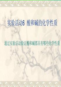 2018春九年级化学下册 10 酸和碱 实验活动6 酸和碱的化学性质课件 （新版）新人教版