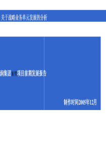 天润集团襄樊房地产项目前期发展报告99页
