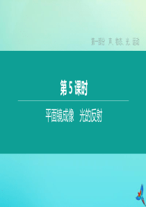 （徐州专版）2020中考物理复习方案 第一部分 声、物态、光、运动 第05课时 平面镜成像 光的反射