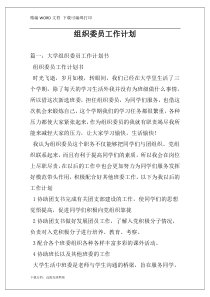 组织委员工作计划