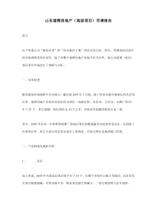 山东淄博房地产高层项目市调报告(14)(1)
