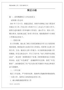 转正小结