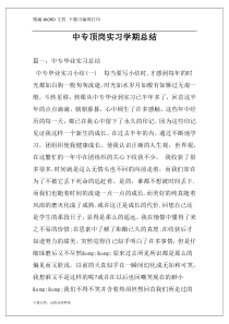 中专顶岗实习学期总结