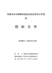 横岭咀电站技改项目公开招标文件