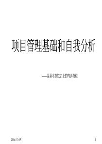 项目管理基础和自我分析(1)