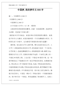 中国梦,我的梦作文800字