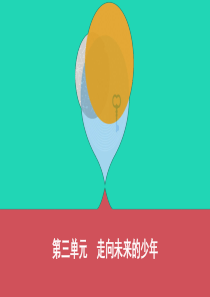 （山西专用）2019中考道德与法治 九下 第三单元 走向未来的少年复习课件