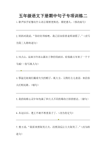 五年级语文下册期中句子专项训练二(人教部编版-含答案)