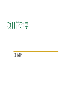 项目管理学课程