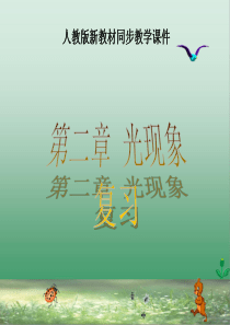 人教版《光现象》复习课ppt课件