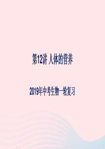 （人教通用）2019年中考生物一轮复习 第12讲 人体的营养课件