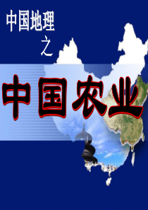 优质课课件——中国的农业
