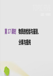 （全国版）2019版中考化学复习 第五单元 科学探究 第17课时 物质的检验与鉴别、分离与提纯课件