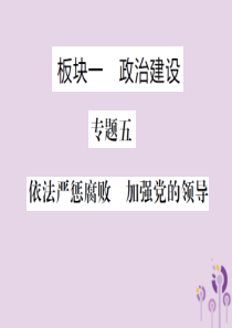 （聊城专版）2019年中考道德与法治总复习 板块一 专题五课件