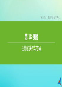 （连云港专版）2020中考生物复习方案 第七单元 生命的延续与进化 第18课时 生物的遗传与变异课件