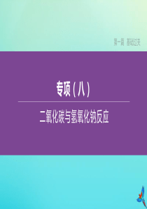 （江西专版）2020中考化学复习方案 专项08 二氧化碳与氢氧化钠反应课件