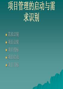 项目管理的启动与需求识别(1)