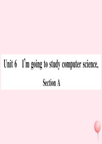 （江西专版）2019秋八年级英语上册 Unit 6 I’m going to study compu