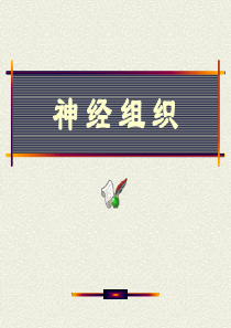 组织学与胚胎学——神经组织