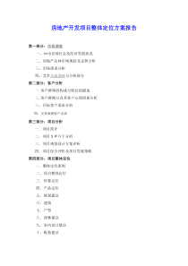 房地产开发项目整体定位方案报告模版