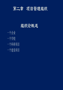 项目管理组织(打印)（PPT36页)