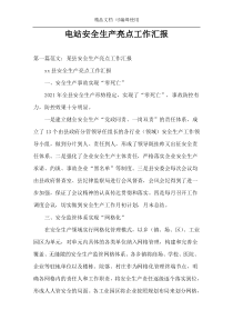 电站安全生产亮点工作汇报