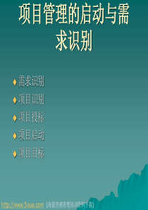 项目管理的启动与需求识别