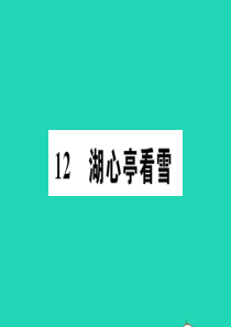 （河南专版）2019秋九年级语文上册 第三单元 12湖心亭看雪习题课件 新人教版