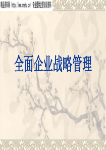 全面企业战略管理（PPT96页）