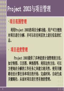 项目管理软件project2003