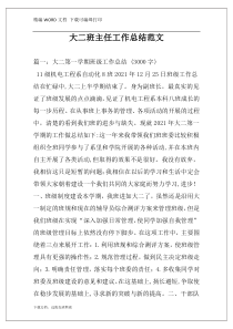 大二班主任工作总结范文