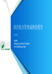 项目组合管理成熟度模型