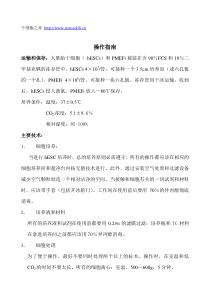 人胚胎干细胞培养手册