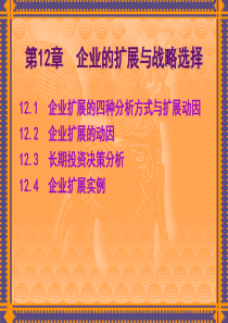 公司经济学_第11章__企业的扩展与战略