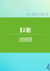 （北京专版）2020中考生物复习方案 主题七 生物的生殖、发育和遗传、变异 第20课时 人的生殖和发