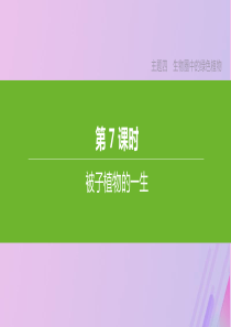 （北京专版）2020年中考生物复习 主题四 生物圈中的绿色植物 第07课时 被子植物的一生课件