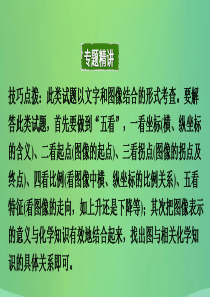 重庆市2018年中考化学总复习 第二轮 重难专题研究 专题二 坐标曲线题课件