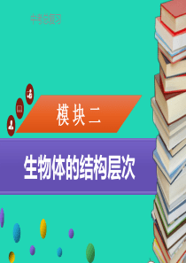 中考生物 模块2 生物体的结构层次 第2课时 细胞的分裂、生长、分化复习课件