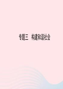 中考历史 专题三 构建和谐社会复习课件 北师大版