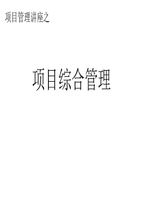 项目综合管理