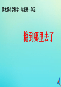 一年级科学下册 1 水和空气 2 糖到哪去了课件 冀人版