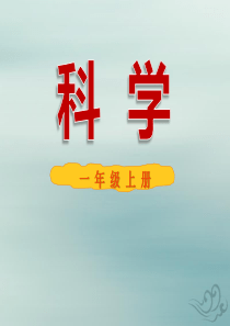 一年级科学上册 第一单元 认识大自然 1 走进大自然课件3 （新版）粤教版