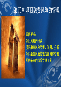 项目融资与管理(2)