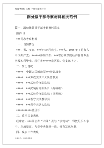 副处级干部考察材料相关范例