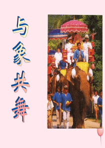 五年级语文下册 第八组 27《与象共舞》课堂教学课件3 新人教版