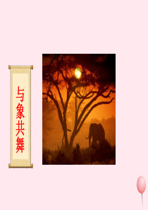 五年级语文下册 第八组 27《与象共舞》课堂教学课件2 新人教版