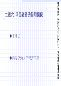 项目融资的信用担保