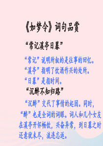 五年级语文上册 第六单元 26《词二首》如梦令词句品赏拓展知识课件素材 冀教版