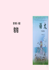 五年级语文上册 第二单元 6《匆匆》教学课件 冀教版