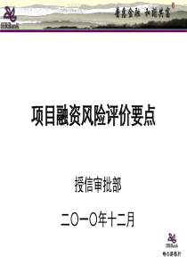 项目融资风险评价要点